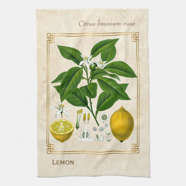 Vintage pflanzliche Pflanze Lemon Geschirrtuch (Vertikal)