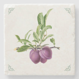 Vintage Pflaumen-Frucht-Illustration Steinuntersetzer