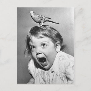 Vintage Photo Postcard Postkarte