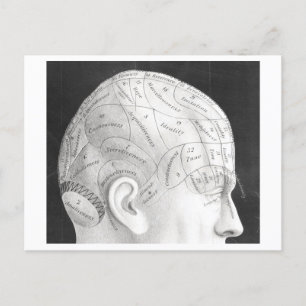 Vintage Phrenologie-Diagramm-Postkarte Postkarte