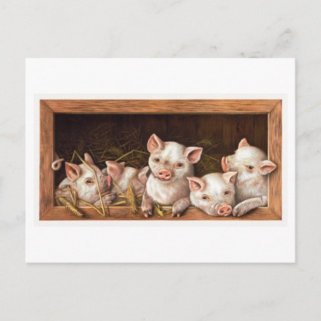 Vintage Piglet Illustration Postkarte (Vorderseite)