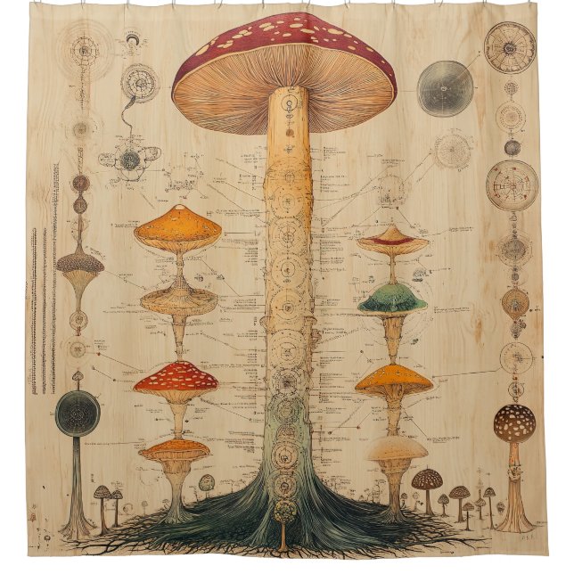 Vintage-Pilz-Botanik-Chart (11) Duschvorhang (Vorderseite)