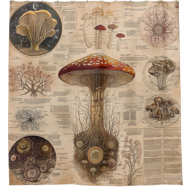 Vintage-Pilz-Botanik-Chart (2) Duschvorhang (Vorderseite)
