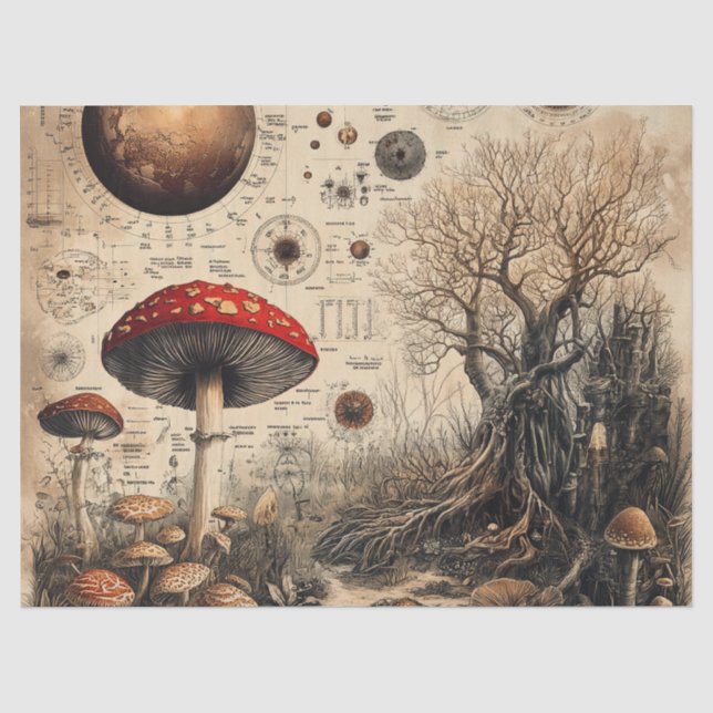 Vintage Pilz-Botanik-Chart (4) Seidenpapier (Vorderseite)
