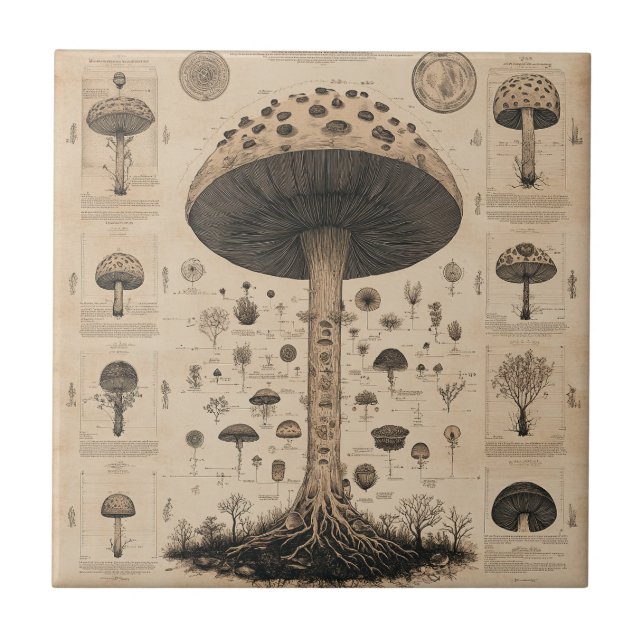Vintage Pilz-Botanikkarte (10) Fliese (Vorderseite)