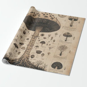 Vintage Pilz-Botanikkarte (10) Geschenkpapier