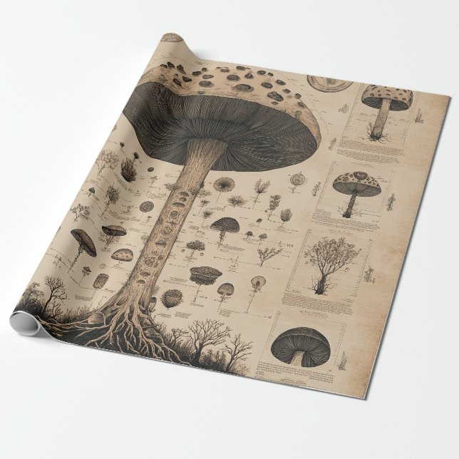 Vintage Pilz-Botanikkarte (10) Geschenkpapier (Ungerollt)