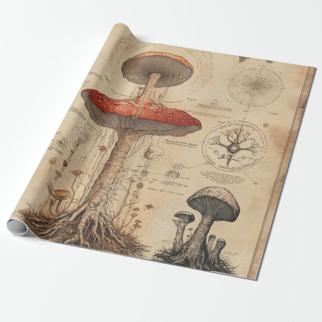 Vintage Pilz-Botanikkarte (8) Geschenkpapier (Ungerollt)
