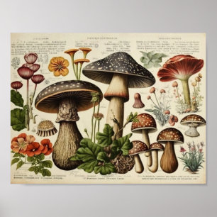 Vintage Pilz Cottagecore Poster