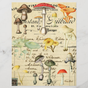 Vintage Pilz Fungi Collage Blatt