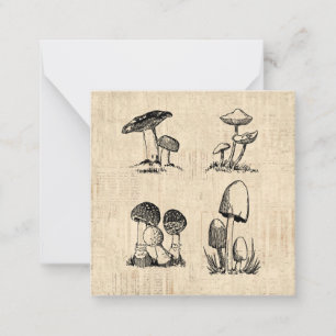 Vintage-Pilz-Kunstillustration Mitteilungskarte