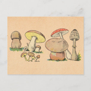 Vintage-Pilzdruck Postkarte