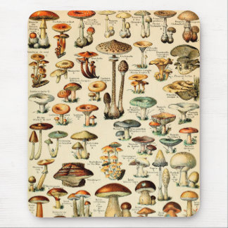 Vintage Pilze & Pilze Mousepad