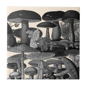 Vintage-Pilze Schwarz-Weiß-Illustration Fliese