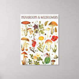 Vintage Pilze und Wildblumen Leinwanddruck