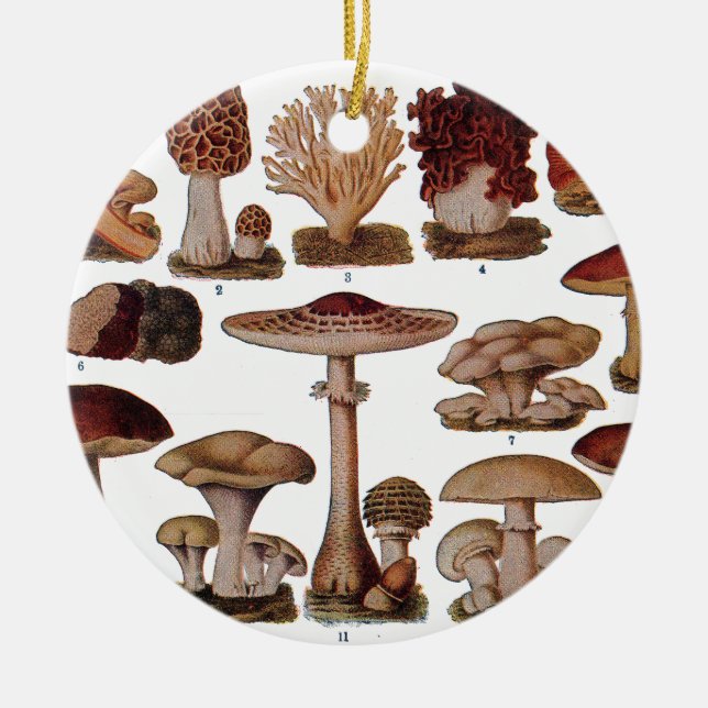 Vintage Pilzfamilie Botanische Printwerbung Keramikornament (Vorne)