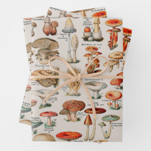 Vintage Pilzfungus-Illustration I Geschenkpapier Set