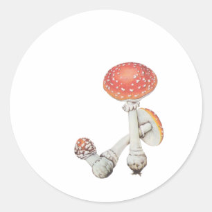 Vintage-Pilzküche - Science Botanicals - Runder Aufkleber