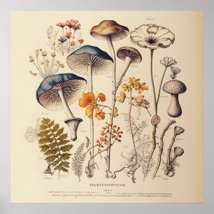 Vintage-Pilzkundler Poster