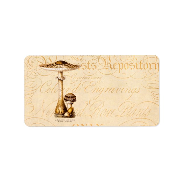 Vintage Pilzvorschau 1800er Jahre Adressaufkleber (Vorne)