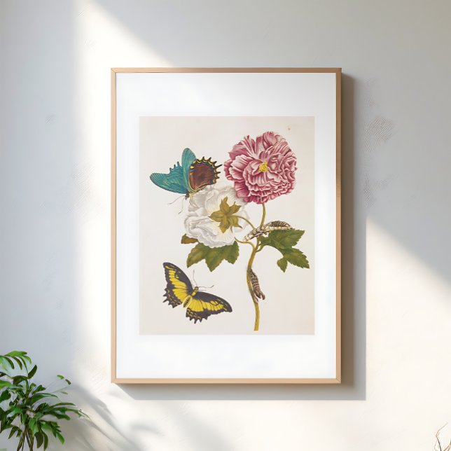 Vintage Pink Peony Flower, Floral Illustration Poster (Von Creator hochgeladen)