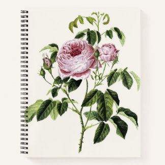 Vintage Pink Rose Timeless Notizbuch