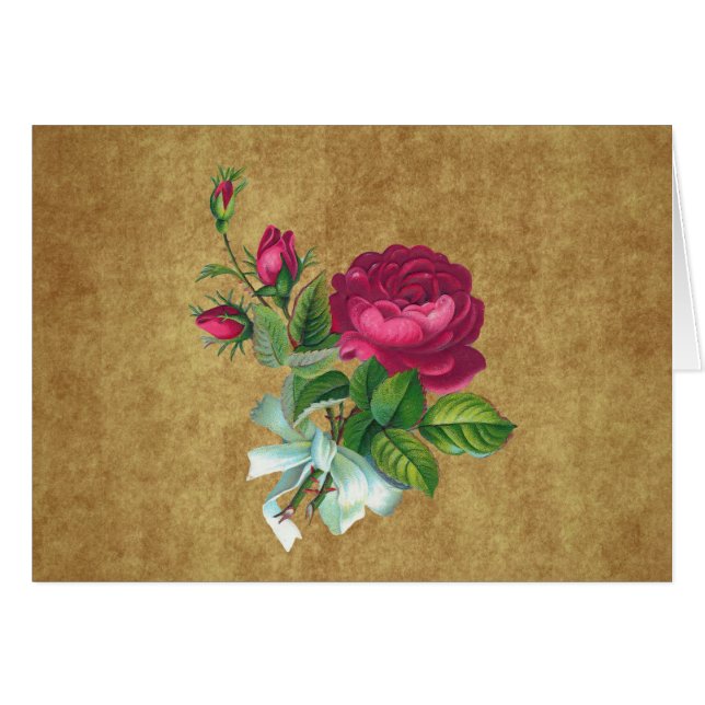 Vintage pinkfarbene Rose (Vorderseite (Horizontal))