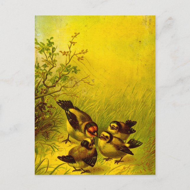 Vintage Pinselspalte Postkarte (Vorderseite)