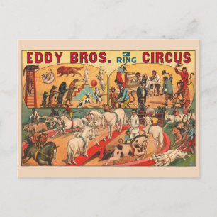 Vintage-Plakat des Eddy Brothers Circus Postkarte
