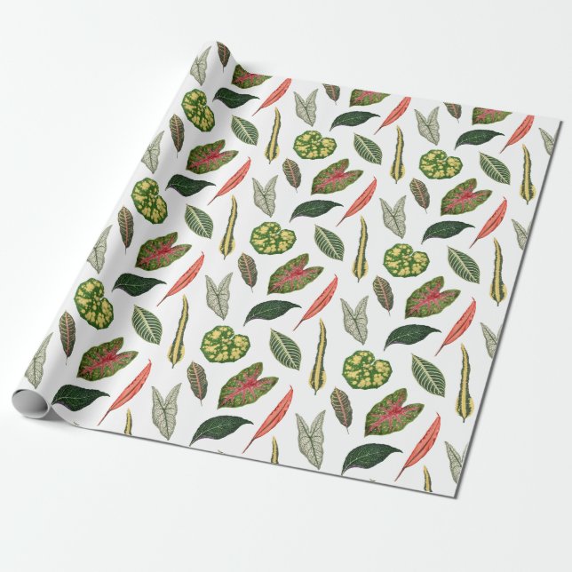 Vintage Plant Leaf Novelty Wrapping Paper - White Geschenkpapier (Ungerollt)