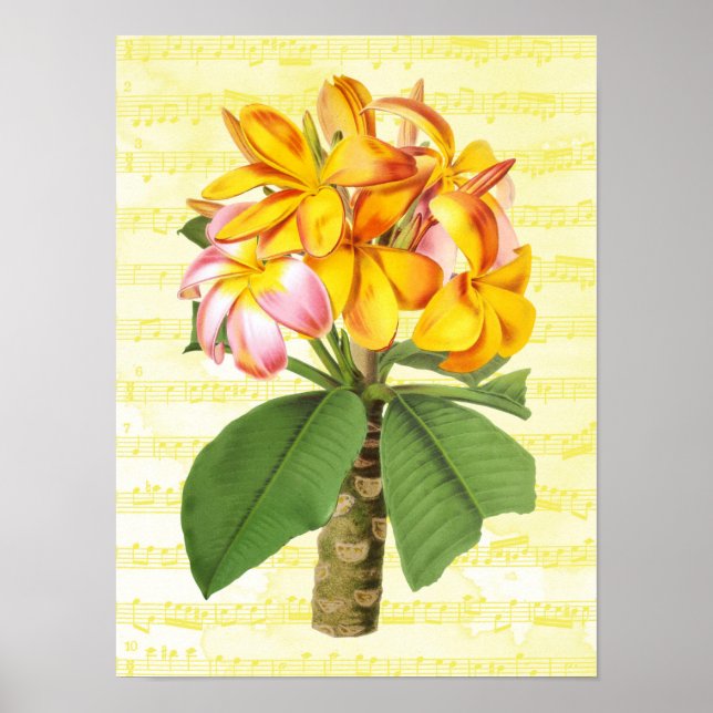 Vintage Plumeria Poster (Vorne)