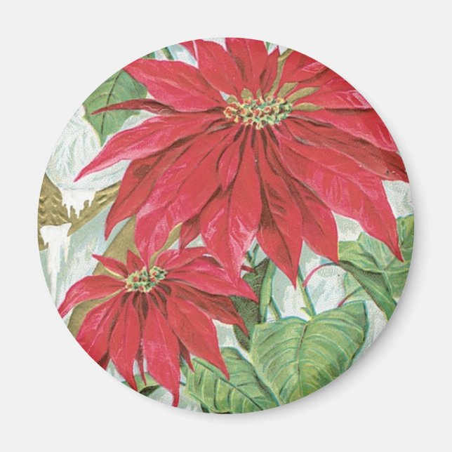 Vintage Poinsettia Abbildung. Magnet (Vorne)