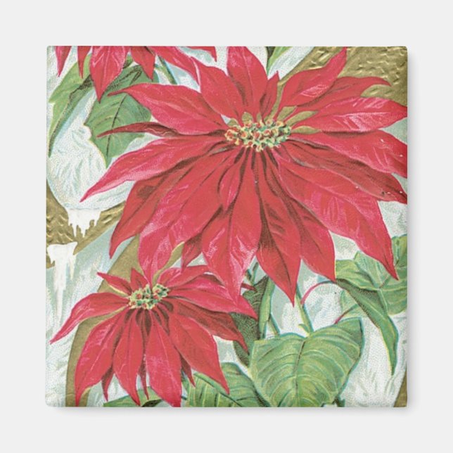 Vintage Poinsettia Abbildung. Magnet (Vorne)