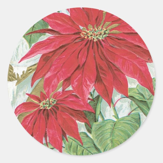 Vintage Poinsettia-Illustration Runder Aufkleber