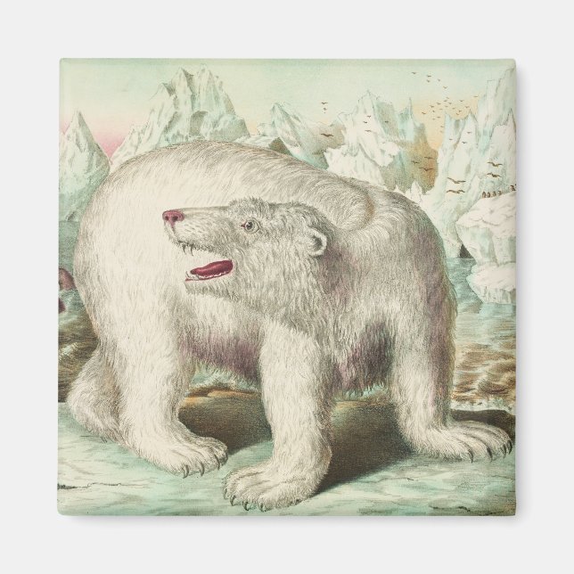 Vintage Polar Bear Art Magnet (Vorne)