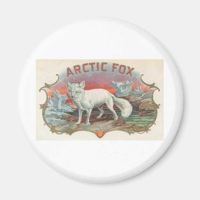 Vintage Polarfuchs Magnet (Vorne)