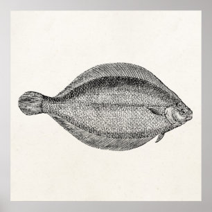 Vintage Polflunder Fische Personalisierte Vorlage Poster