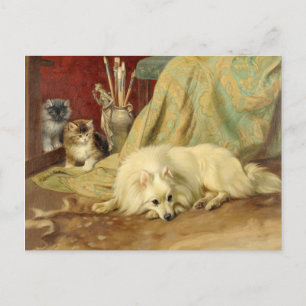 Vintage Pomeranian-Hund Kittens Wright Barker Postkarte