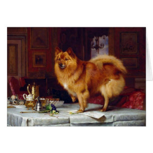 Vintage - Pomeranian-Hund und Frühstückstisch,