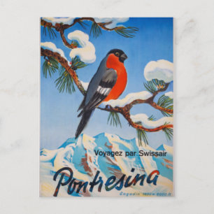 Vintage Pontresina Urlaub Swiss Air Schweiz Postkarte