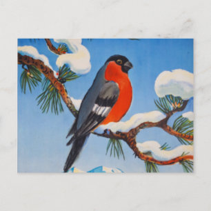Vintage Pontresina Urlaub Swiss Air Schweiz Postkarte