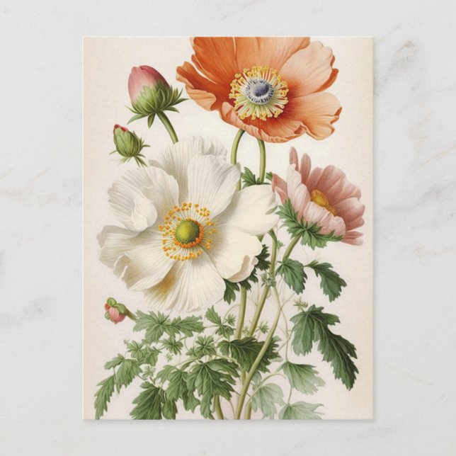 Vintage Poppies Postkarte (Vorderseite)