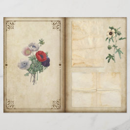 Vintage Poppies Viktorianische Botanische Zeitschr