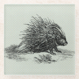 Vintage Porcupine-Illustration Glasuntersetzer