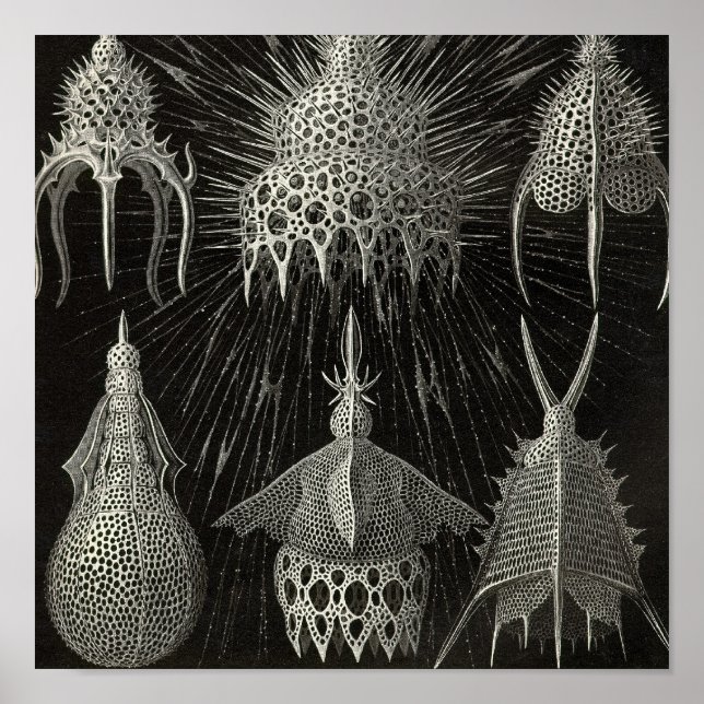 Vintage Poster (Vorne)