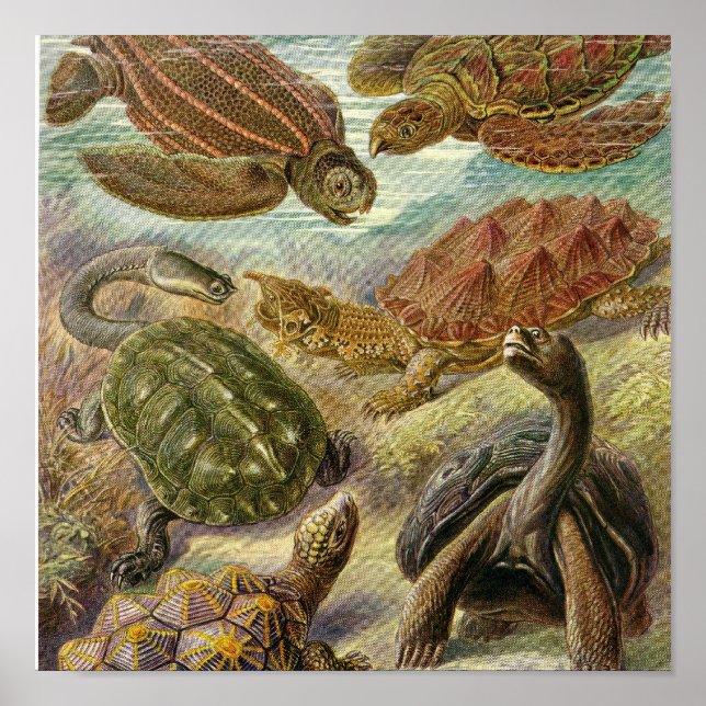 Vintage Poster (Vorne)