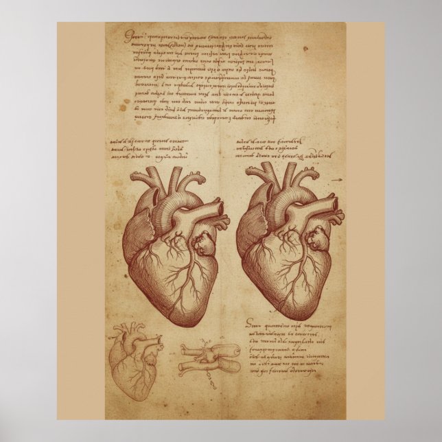 Vintage-Poster der Anatomie des menschlichen Herze Poster (Vorne)