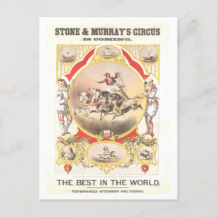 Vintage Poster für Stone & Murray Circus Postkarte