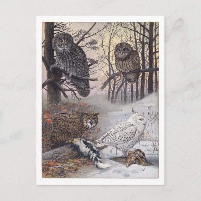 Vintage Postkarte (Vorderseite)