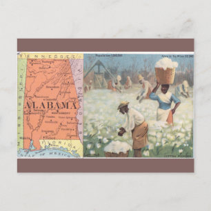 Vintage-Postkarte aus Alabama: Baumwollernte Postkarte